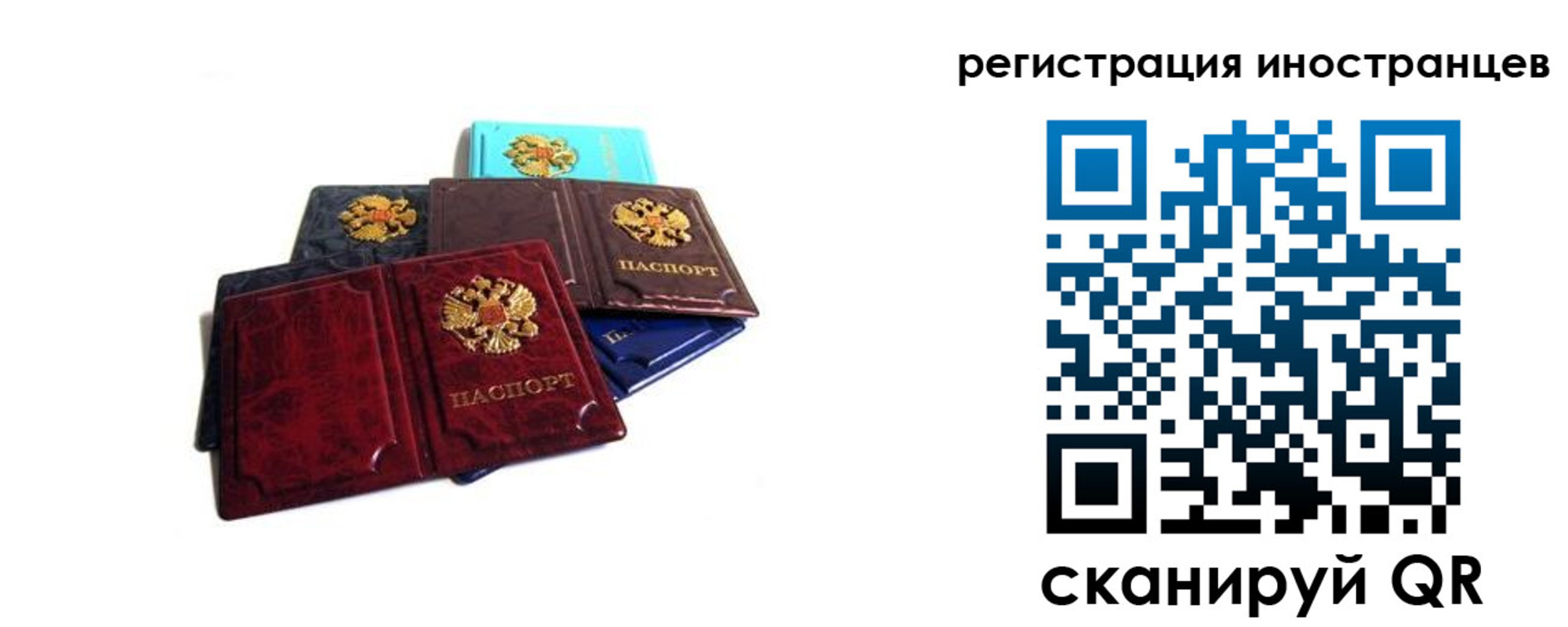 временная регистрация надежно в Владимире