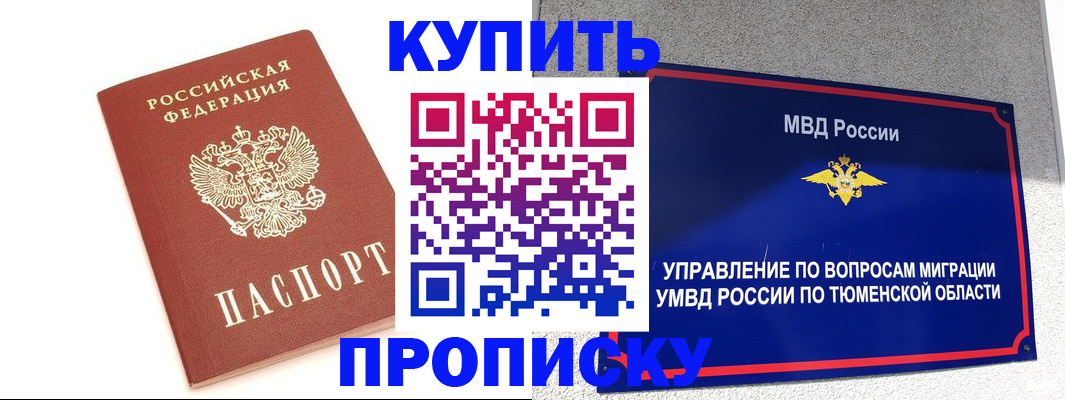 прописка поиск в Владимире